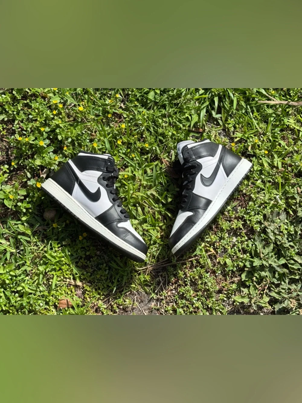 Nike authentic jordan